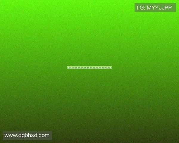 加莱诺的艺术魅力与文化传承探讨：从历史到现代的深度剖析与反思