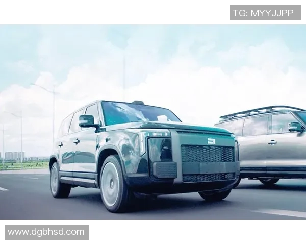 尼日利亚与阿根廷激战正酣足球盛宴引发全球关注与热议